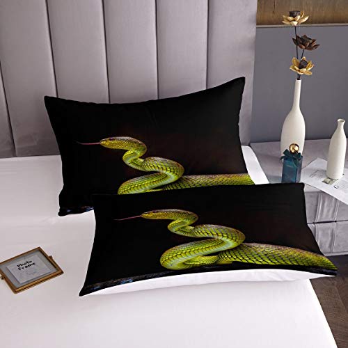 Homewish Snake Duvet Cover Set King Size,Python Bedding Set including Pillowcases Gift For Kids Teen Adult,Rainforest Animal Snake Comforter Cover And Zipper Closure,Wildlife Reptiles Bedspread Cover - Image 3