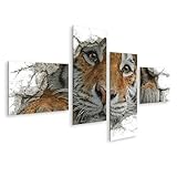 Impression sur toile de qualité supérieure. Motif : tigre curieux regardant depuis le trou du mur - Tableau mural pour les amoureux des animaux