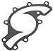 Allmakes Water Pump Gasket