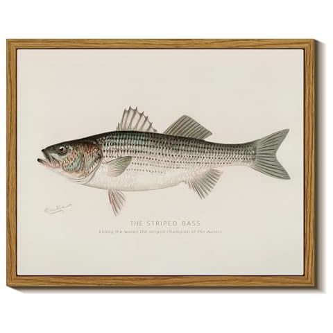 InSimSea Vintage Framed Wall Art for Living Room, Striped bass Canvas Decor, Minimalism Artwork Prints, Animals Oil Painting Wall Decor Gallery Picture Cover