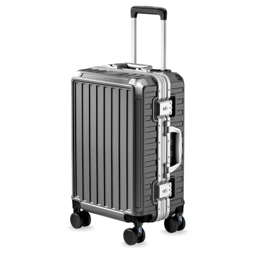 LUGGEX 20 Inch Spinner Luggage