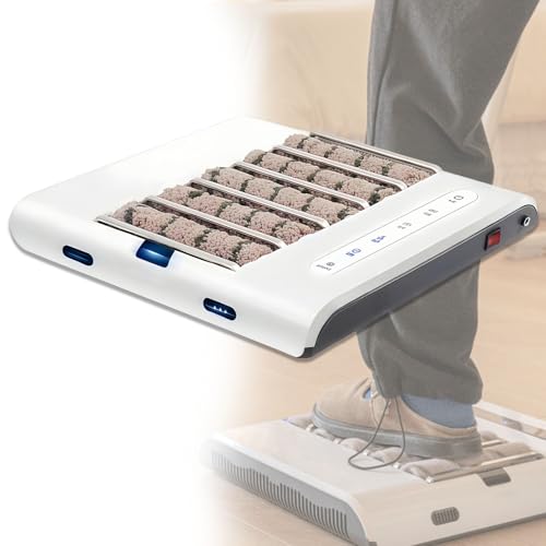 Glowdora Cireuse À Induction Automatique, Entièrement Électrique, avec Brosses Rotatives À Aspiration, 500 TR/Min, pour Les Entrées De Maisons, Villas, Hôtels Et Commerces.