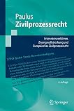 Zivilprozessrecht: Erkenntnisverfahren, Zwangsvollstreckung und Europäisches Zivilprozessrecht (Springer-Lehrbuch)