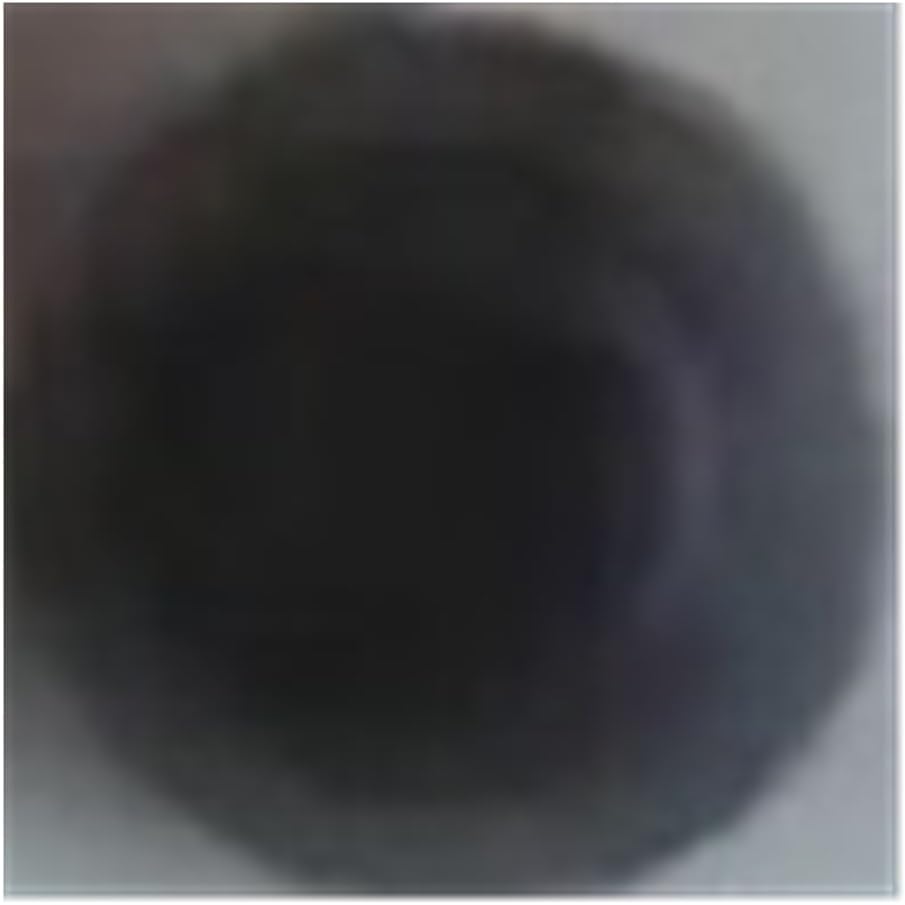 Valve Stem Oil Seals Fit For GM182 GT600 6HP