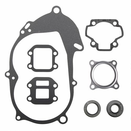 SUNQIAO PW50 Gasket Kit, Engine Gasket Kit for PW50 PY50 Peewee Y-Zinger 50 Kid Bikes