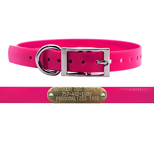 Light Weight Waterproof D-Ring Dog Collar w Custom Name Tag, Pink | 3/4' Wide, Small/Medium Breed, Odor-Resistant, 11'-1