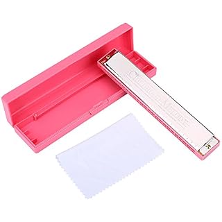 Harmonica 24 trous, C clé Harmonicas enfants Jouet Cadeau Harmonicas en métal (rose) - Les Beatles, Paul McCartney, John Lennon, RIngo Starr, George Harrison