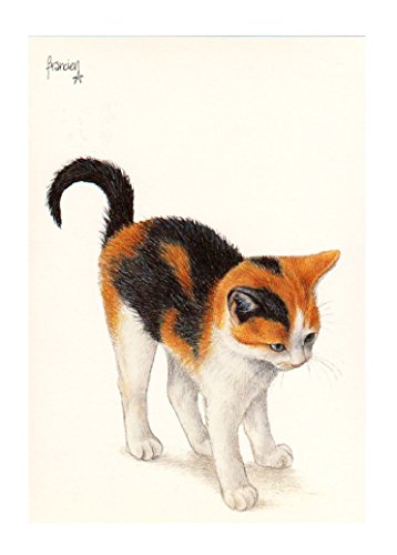 ART UNLIMITED ポストカード (三毛猫) C6075