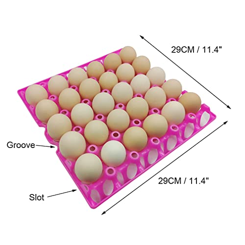 Pacote com 6 bandejas de ovos de plástico para frango, suporte para ovos, caixa de ovos, pato, 30 ba