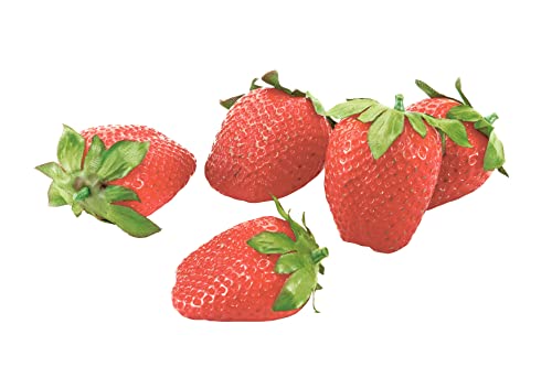 tbVXgx[Hׂ܂ 5P/pbN \tg^b` VF1277  Xgx[  t HiTv t[c tFCNt[h