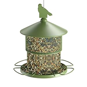 Outdoors Hanging Metal Bird Feeder: Digipettor 4 lbs Large Capacity Mesh Squirrel-Proof Wild Bird Seed Feeder for Garden Yard Outdoors Decoration, Green