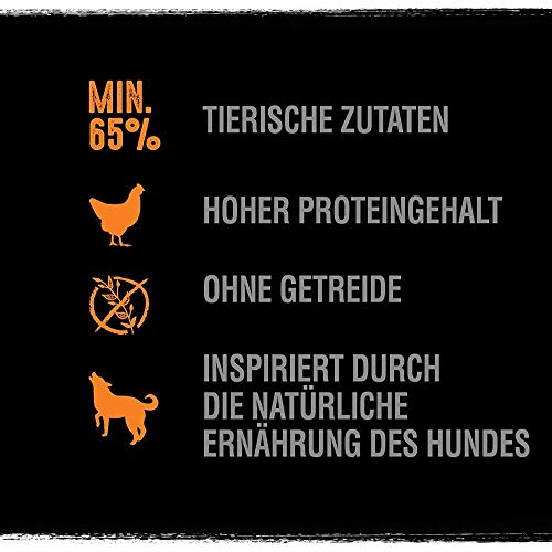 CRAVE Premium Pastete mit Truthahn & Huhn für Hunde – Getreidefreies Adult Nassfutter mit hohem Proteingehalt – 10 x 300 g