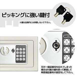 Lysmics 金庫 ミニ金庫 電子金庫 テンキー式 小型 家庭用 オフィス 壁付け対応 緊急キー付き 23*17*17cm (ホワイト) [5]