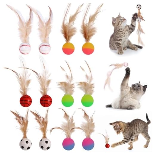 Partideal 12 Stück Hüpfender Katzenball mit Feder, Katzenspielzeug Feder Katzenbälle, Interaktives Katzenspielzeug Federn Ball,Interaktives Federballspielzeug Spielzeug für Katzen