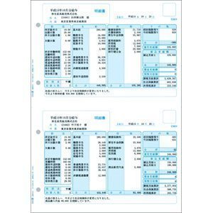 Payslips Z (100 pieces) 336001Z (japan import)