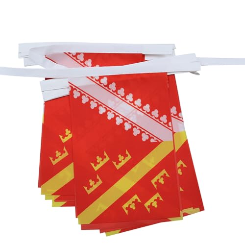 AZ FLAG - Guirlande Drapeau Alsace Ancien - 6 Mètres Avec 20 Fanions Alsacien - France De 21x14 cm - Petits Drapeaux 100% Polyester - 60g