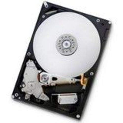 Hitachi E7K1000 (1 TB)