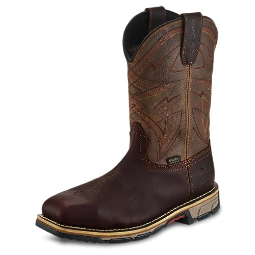 Irish Setter Marshall 11