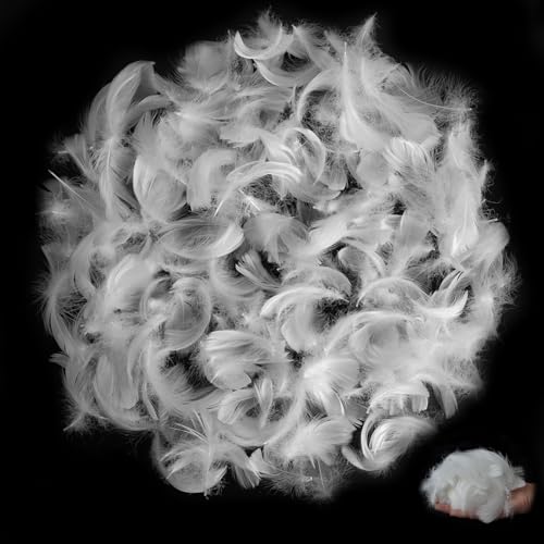 FORETOGO 400 Piezas Plumas Blancas,Plumas Manualidades 5-8cm,Plumas Blancas para Disfraz,Plumas Esponjosas y Suaves Blancas,para Decoración del Hogar,Disfraces Hats,Bodas y Proyectos De Bricolaje