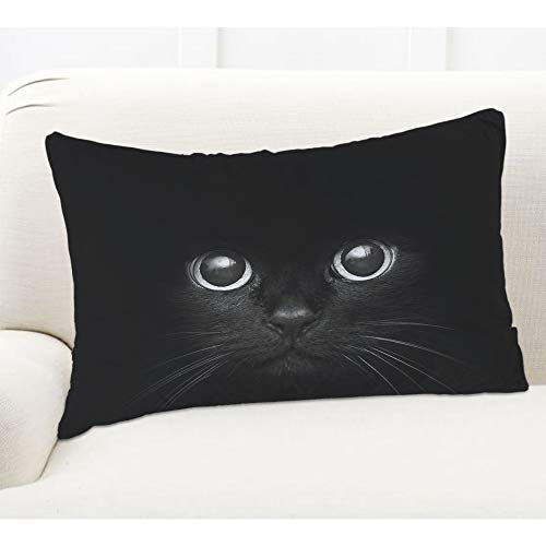 Ekobla Throw Pillow Cover Black Cat Cute Face Lovely Animal Cool Kitten Kitty Eye Pattern Fashion Adorable Pet Decor Lumbar Pillow Case Cushion For Sofa Couch Bed Standard Queen Size 20X30 Inch #TOP4
