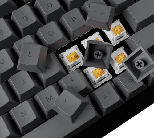 GLORIOUS Gaming 115x GPBT Keycaps - Cherry Profile, Super Durable PBT Plastic, Eye Catching Aesthetics, Superior Sound, Original Typeface… – Ansicht 2