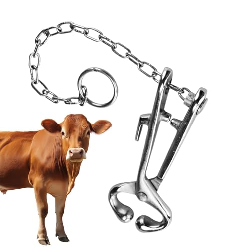 Pince nasale de vache en acier inoxydable pour bétail de ferme