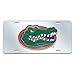 FANMATS NCAA University of Florida Gators Plastic License Plate (Inlaid)