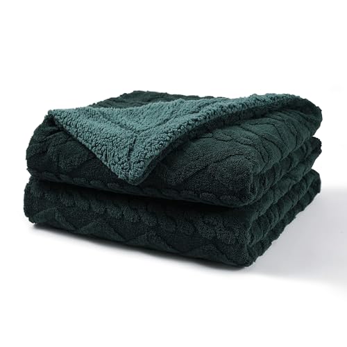 Image of Pagnanno. - Sherpa Teddy Fleece Blanket - Fluffy Double Layered Bed and Sofa Throw - Thick, Warm & Extra Soft - For Families, landlords and Couples (Emerald Green, Double (150x200cm))