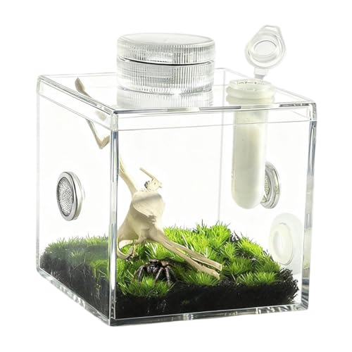 w偎P[XAAN^`P[XA~jw偃P[W J}Lnp w偃P[WANZT[