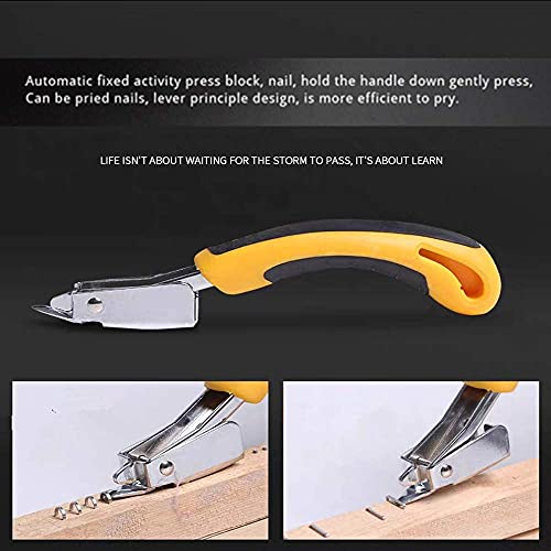 Agrafeuses Arrache Agrafes extracteur Agrafe dissolvant d'ongles Outil de retrait Lève-ongles griffe bureau Extracteur d'agrafes force Retirez toutes les agrafes tapis sol de meubles Cadre photo – Image 3