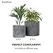 Fox & Fern 8 Inch Plant Pot with Drainage Plug — Premium Polystone Grey Planter with Concrete Finish; for Indoor & Outdoor Use; Modern Plant Pot with Smooth Interior