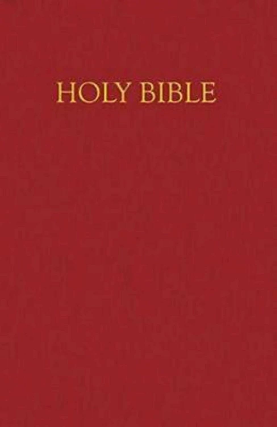 New Revised Standard Version Children's Bible- NRSV Deluxe Gift Edition