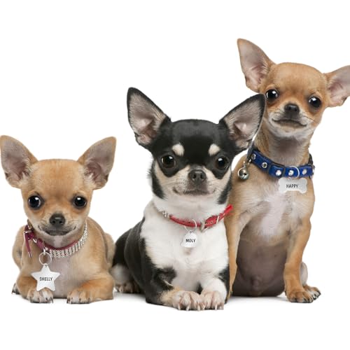 Abbylike Stainless Steel Pet ID Tags Engraved Cute Cat Dog Tags for Puppy Cat Dog Pet, Many Shapes Including House, Bone, Heart, Bow Tie, Circle, Bell, and More, Silver - Image 4