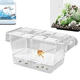 Scatola Per Allevamento Di Pesci - Serbatoio Incubatore Per Incubatoio In Acrilico | Divisorio Isolante Per Guppy In Gravidanza | Protezione Per Avannotti Per Acquario Tropicale | Vivaio Galleggiante