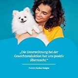 mammaly Perfect Weight® Abnehm-Komplex mit Zellulose für Hunde (120 Snacks)
