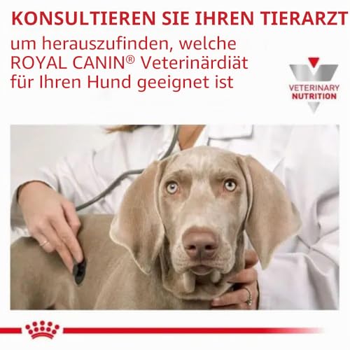 Royal Canin Veterinary Gastrointestinal Low Fat | 6 kg | Diät-Alleinfuttermittel für ausgewachsene Hunde | Trockenfutter zur Unterstützung der Verdauung | Niedriger Fettgehalt