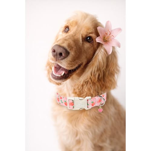 Image of Peach Dog Collar, Summer Spring Cotton Dog Collar, Cute Fruit Pattern Adjustable Pink Pet Collar, Lightweight Durable Quick Release Buckle with Charm for Female Dogs