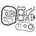 DUCRES 2-Cylinder Head Gasket Set Compatible With Joyner 650 LJ276 Engine 276Q01021