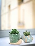 Abbott Collection Mini Snail Planter | Stoneware, Turquoise, 2.5"H