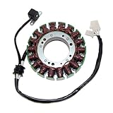 ElectroSport ESG610 Stator Yamaha V-Star 1100 - High Power