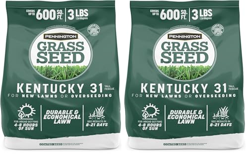 Pennington Kentucky 31 Tall Fescue Penkoted Grass Seed 3 lb, Green (Pack of 2)