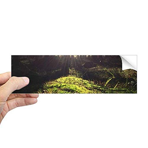 Autocollant paysage nature rectangulaire adhésif durable pour carnet