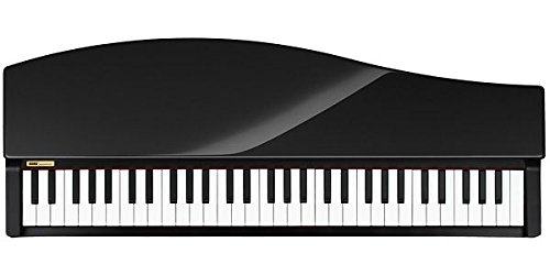 Amazon | 【国内正規品】 KORG コルグ コンパクトピアノ microPIANO