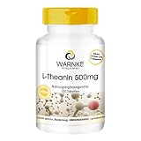 L–Teanina 500mg - 100 comprimidos - aminoácidos - vegan