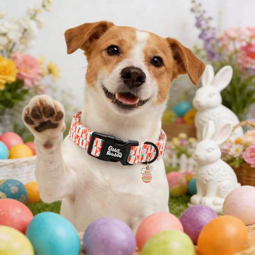 Image of Dog Collars, Easter Orange Carrot Rabbit Print Pet Collar Holiday Cute Durable Adjustable Pendant Gift Collar with Quick Release Plastic Buckle for Large Dogs