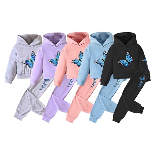 Toddler Girls Hoodie Sweatshirt and Pants Sweatsuit Kids Butterfly Print Long Sleeve Tops Pants Suit Comfy Clothes Set
