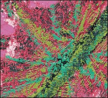 SPARK ARTS SPARK ARTS