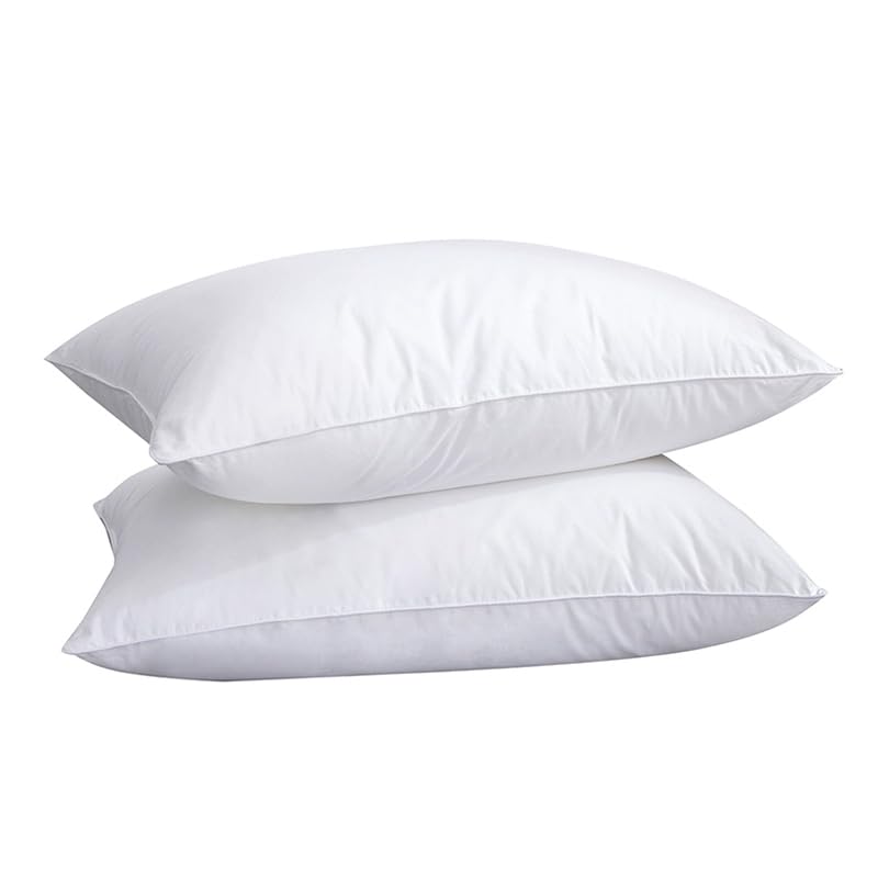 Pillow 2-Pack
