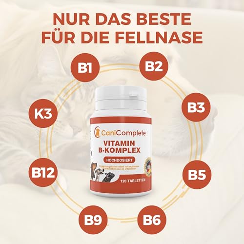 CaniComplete Vitamin B Komplex Hund – Mit B1, B2, B3, B5, B6, B9, B12 & – Multivitamin für Energiestoffwechsel, Nerven & Vitalität – Made in Germany