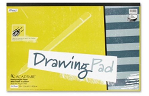 Mead Académie Drawing Pad, 24 Sheets, Acid Free, 18 x 12 Inch Sheet Size (54060)